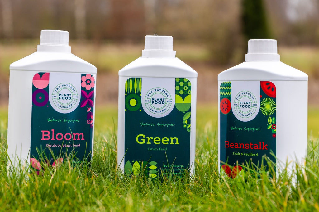 Bloom, Green and Beanstalk 1L bottles standing side by side on a lawn