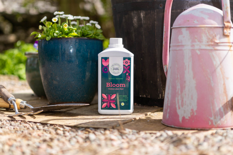 Bloom outdoor plant feed on a garden table with potted plants and gardening gloves