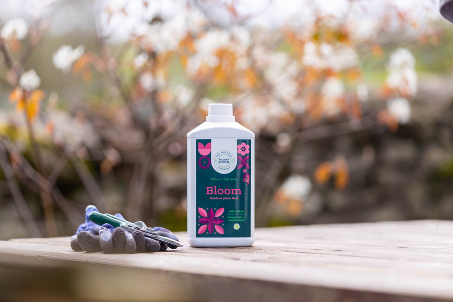 Bloom 1L bottle on a wooden table beside a pair of gardening gloves and secateurs, with blossom in the background