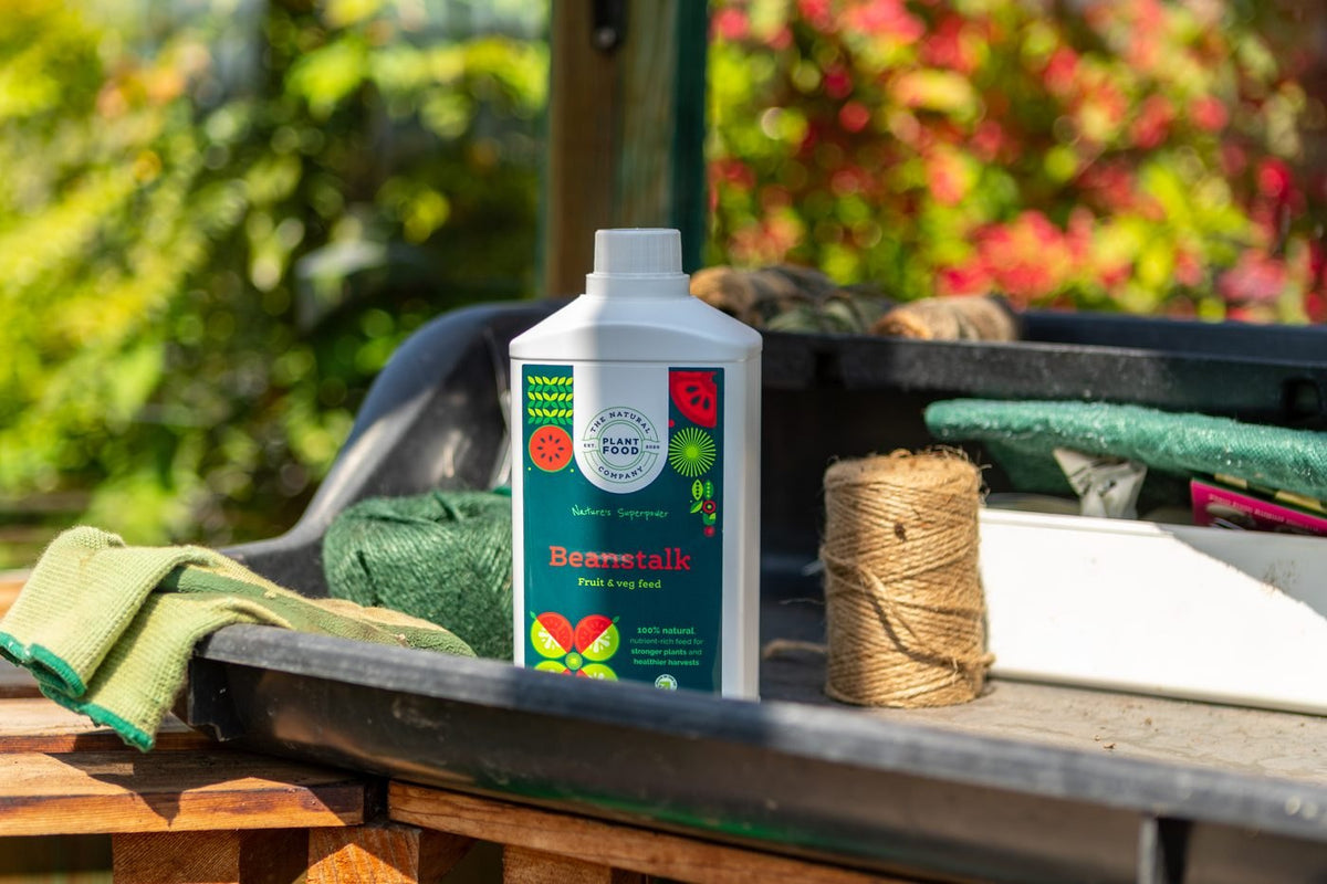 A bottle of Beanstalk on a potting bench with twine, gloves and a seed tray