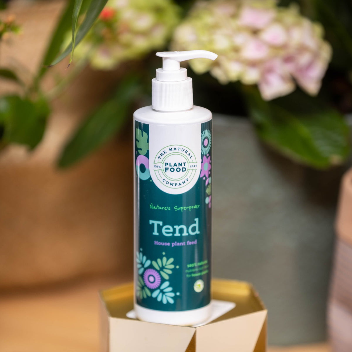 Tend houseplant food in a 250ml pump bottle on a small gold plinth, with pink hydrangea flowers and terracotta pots behind