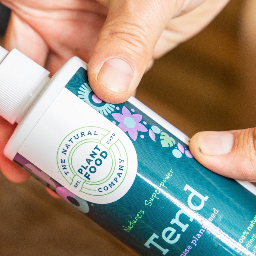 A hand holding the Tend bottle up close, showing the Plant Food Company seal and the Tend label